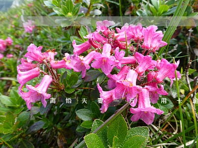 离婚夫妻一方信用卡逾期 离婚夫妻一方信用卡逾期