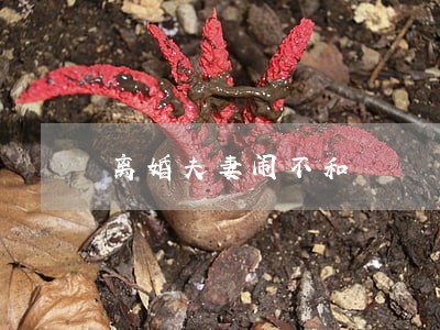离婚夫妻闹不和 离婚夫妻闹不和
