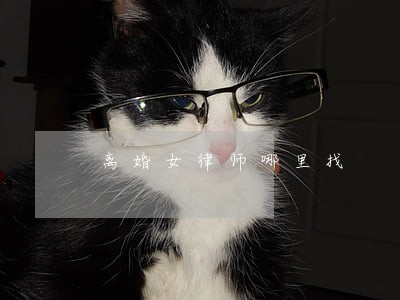 离婚女律师哪里找 离婚女律师哪里找
