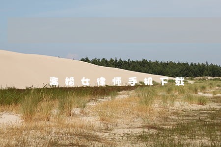 离婚女律师手机下载 离婚女律师手机下载