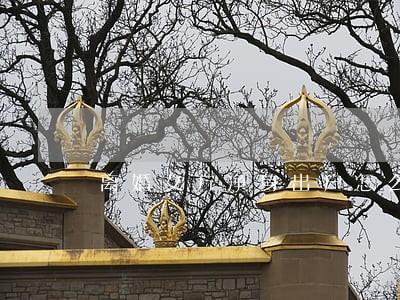 离婚女方净身出户怎么写协议书 离婚女方净身出户怎么写协议书