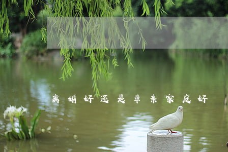 离婚好还是单亲家庭好 离婚好还是单亲家庭好