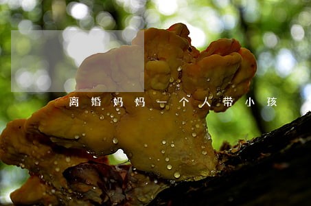 离婚妈妈一个人带小孩 离婚妈妈一个人带小孩