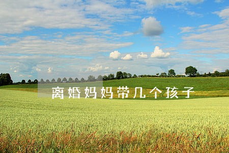 离婚妈妈带几个孩子 离婚妈妈带几个孩子