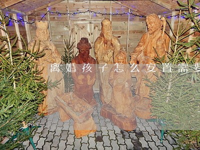 离婚孩子怎么安置需要什么手续 离婚孩子怎么安置需要什么手续