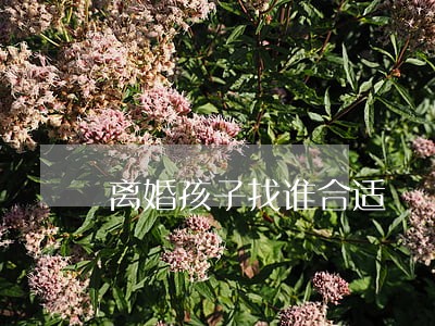 离婚孩子找谁合适 离婚孩子找谁合适