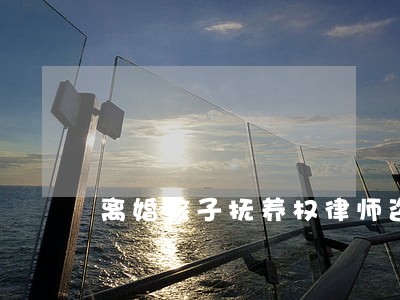 离婚孩子抚养权律师咨询 离婚孩子抚养权律师咨询
