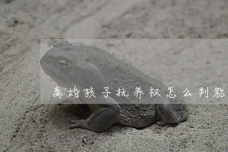 离婚孩子抚养权怎么判能再起诉吗
