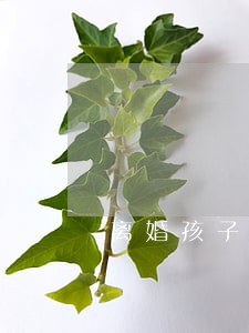 离婚孩子抚养费每月多少钱合适 离婚孩子抚养费每月多少钱合适