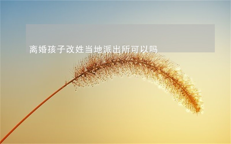 离婚孩子改姓当地派出所可以吗 离婚孩子改姓当地派出所可以吗