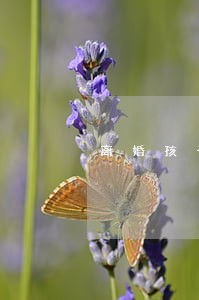 离婚孩子生活费要不要给 离婚孩子生活费要不要给