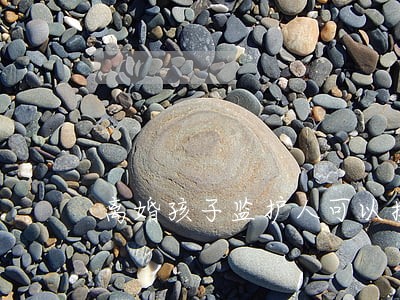 离婚孩子监护人可以换吗 离婚孩子监护人可以换吗