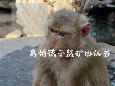 离婚孩子监护协议书 离婚孩子监护协议书