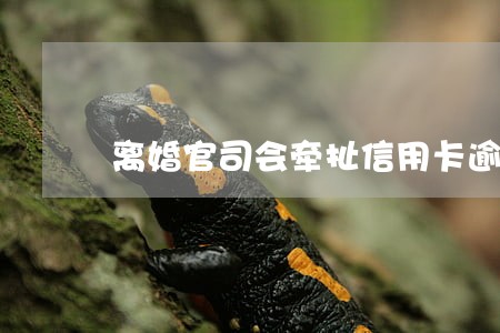 离婚官司会牵扯信用卡逾期吗 离婚官司会牵扯信用卡逾期吗