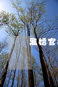 离婚官司债务分割律师费怎么收 离婚官司债务分割律师费怎么收
