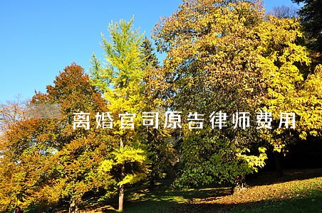 离婚官司原告律师费用 离婚官司原告律师费用