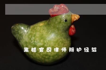 离婚官司律师辩护经验 离婚官司律师辩护经验