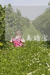 离婚官司请律师的作用 离婚官司请律师的作用