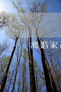 离婚家产律师律所 离婚家产律师律所