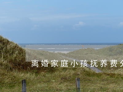 离婚家庭小孩抚养费分摊 离婚家庭小孩抚养费分摊