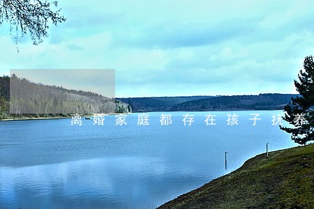 离婚家庭都存在孩子抚养费吗 离婚家庭都存在孩子抚养费吗