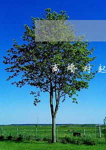离婚对起诉的一方有利么 离婚对起诉的一方有利么