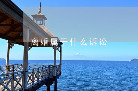 离婚属于什么诉讼 离婚属于什么诉讼