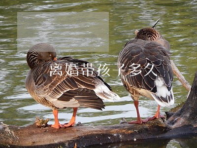 离婚带孩子多久 离婚带孩子多久