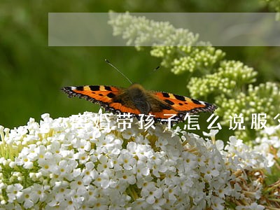 离婚带孩子怎么说服父母