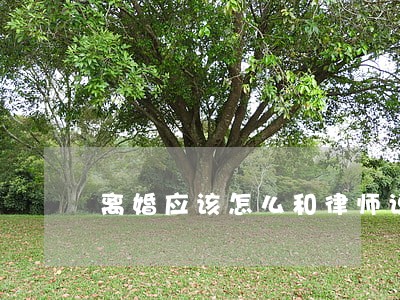 离婚应该怎么和律师说 离婚应该怎么和律师说