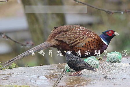 离婚开庭申请延期怎么写 离婚开庭申请延期怎么写