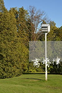离婚律师2014 离婚律师2014