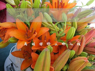 离婚律师上哪儿找 离婚律师上哪儿找