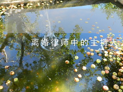 离婚律师中的主持人 离婚律师中的主持人