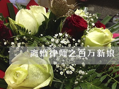 离婚律师之百万新娘 离婚律师之百万新娘