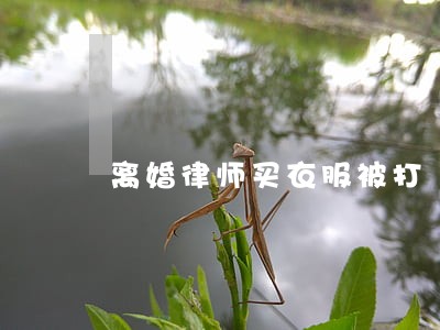 离婚律师买衣服被打 离婚律师买衣服被打