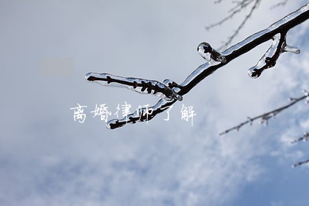 离婚律师了解 离婚律师了解