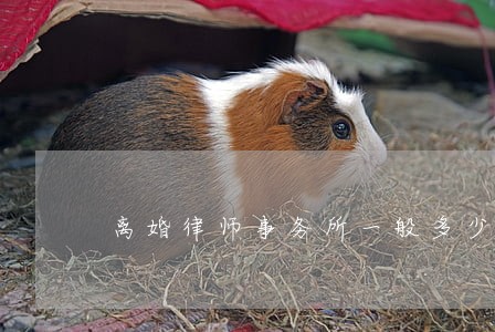 离婚律师事务所一般多少钱 离婚律师事务所一般多少钱