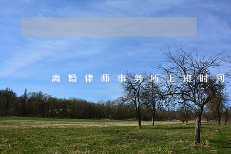 离婚律师事务所上班时间