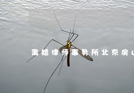 离婚律师事务所北京房山 离婚律师事务所北京房山