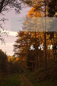 离婚律师事务所太原 离婚律师事务所太原