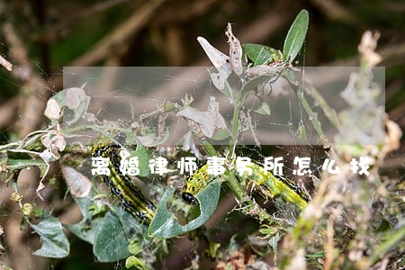 离婚律师事务所怎么找 离婚律师事务所怎么找
