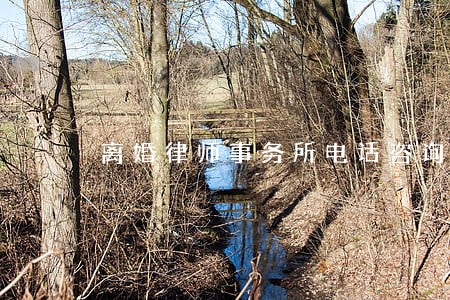 离婚律师事务所电话咨询 离婚律师事务所电话咨询