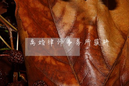 离婚律师事务所簇桥 离婚律师事务所簇桥