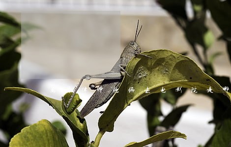 离婚律师他俩去电影院是哪一集 离婚律师他俩去电影院是哪一集
