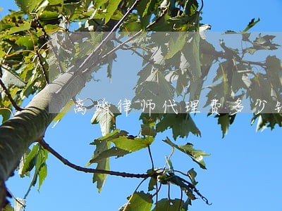 离婚律师代理费多少钱 离婚律师代理费多少钱