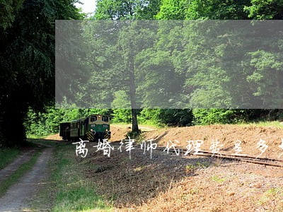离婚律师代理费是多少 离婚律师代理费是多少