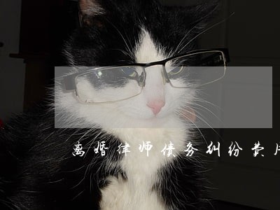离婚律师债务纠纷费用 离婚律师债务纠纷费用
