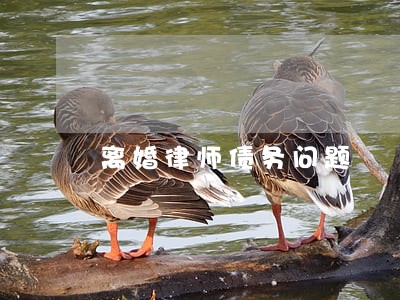 离婚律师债务问题