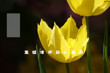 离婚律师动人画面 离婚律师动人画面